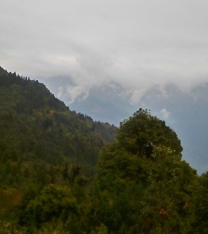 Kanchendzonga National Park-甘托克必去景点