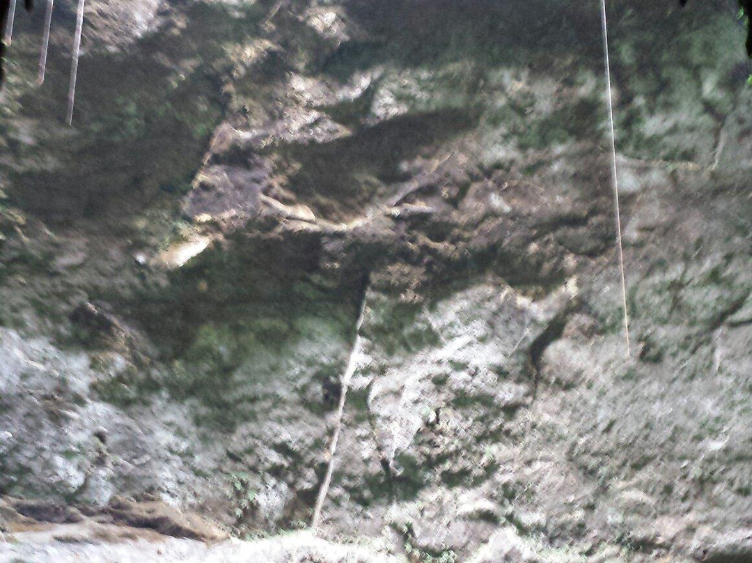 Clara Cave (Cueva Clara)景点图片