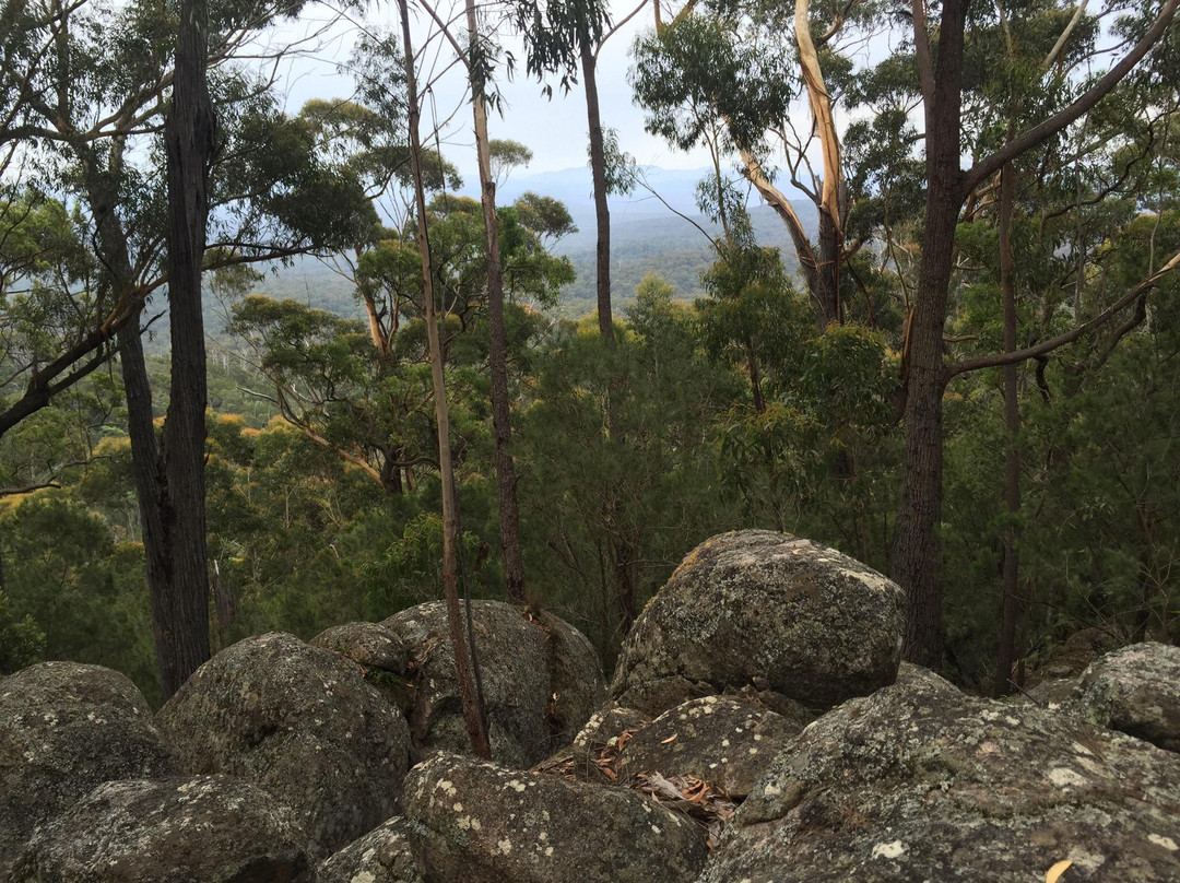 Genoa Peak Walk景点图片