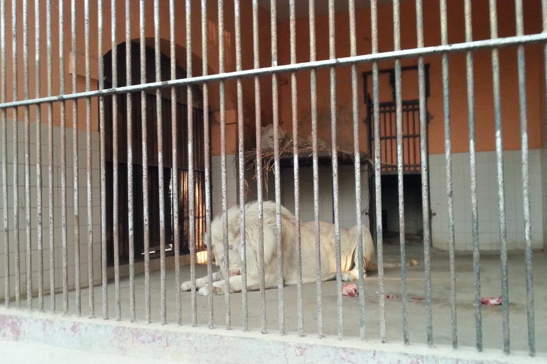 Karachi Zoo-卡拉奇必去景点