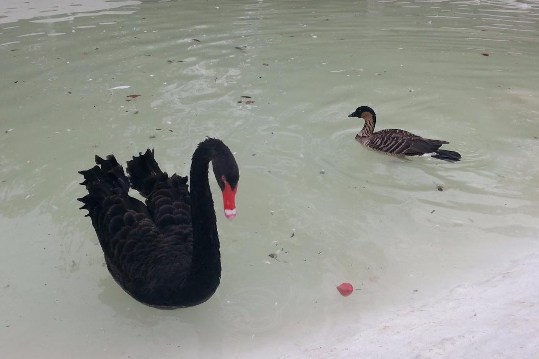 Bird Aviary-伊斯兰堡必去景点