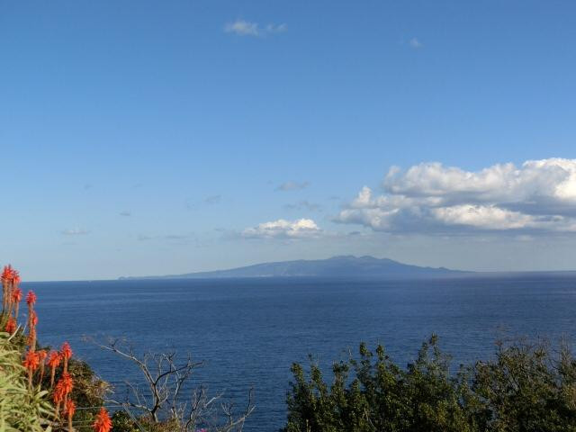 Ogasaki Wing Lookouts景点图片