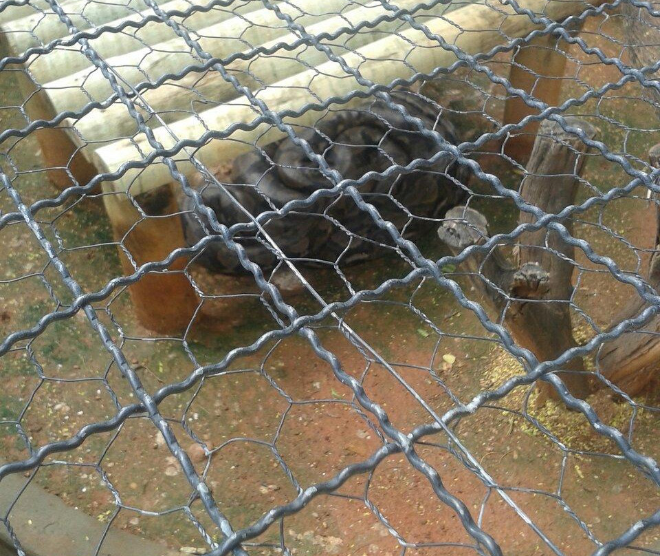 Parque Zoo-botanico da Caatinga-Petrolina必去景点