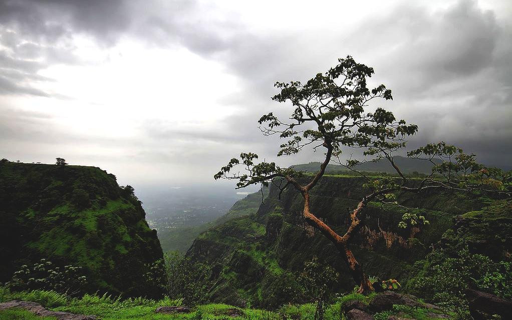 Hill View Resort主图