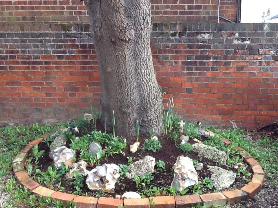 Braintree District Museum-布伦特里必去景点