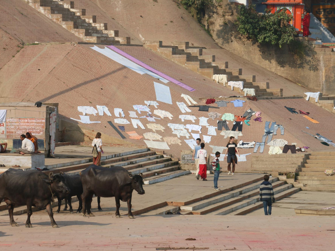 Raja Ghat景点图片