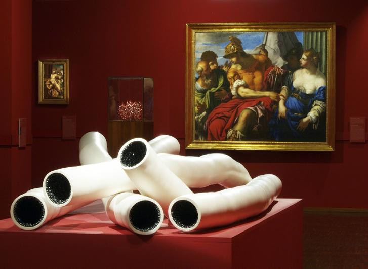 Musée Gassendi景点图片