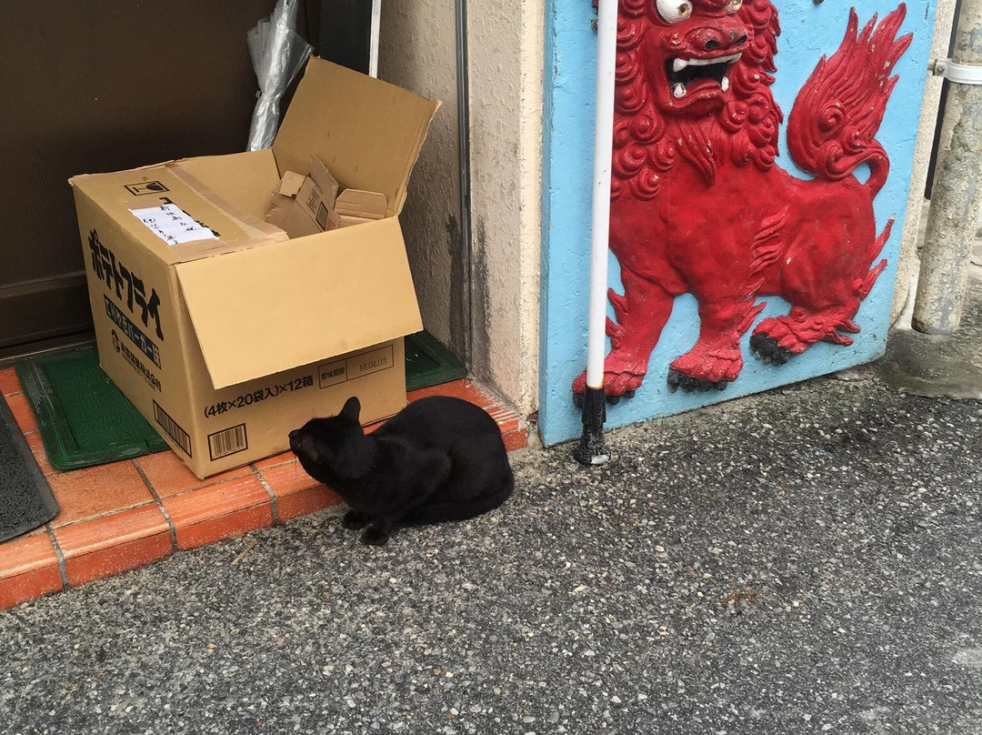 Shingaki Shoten-渡嘉敷村必去景点