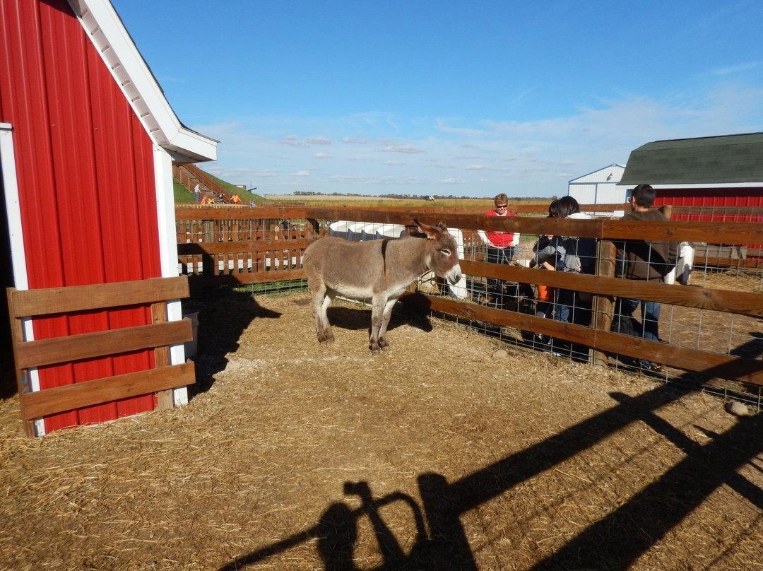Stade's Farm and Market-McHenry必去景点
