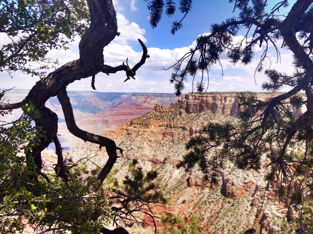 Grandview Point-大峡谷国家公园必去景点