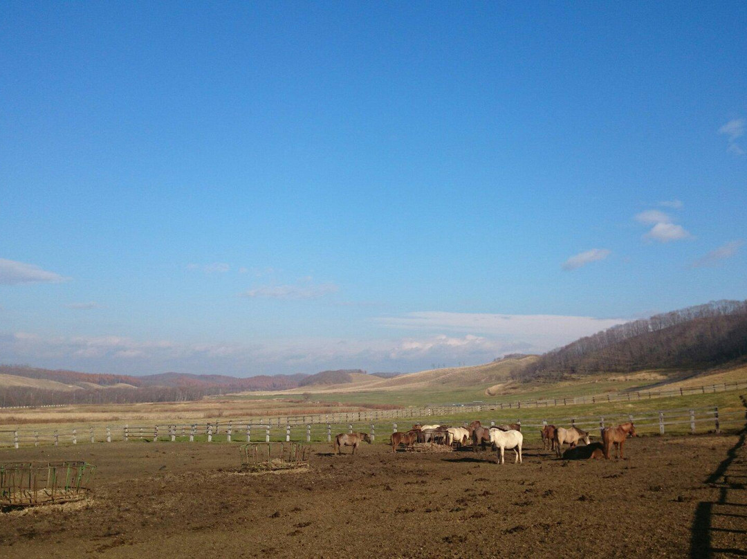 Tsurui Dosanko Farm-鹤居村必去景点