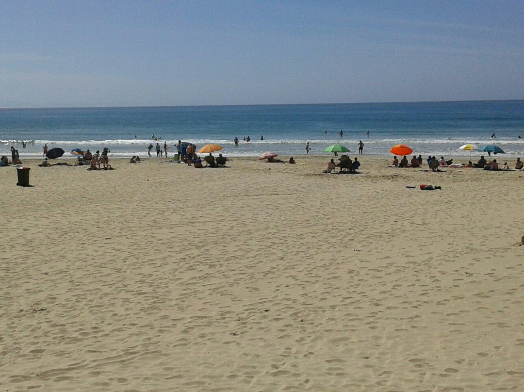 Dolphin Beach-杰佛瑞湾必去景点