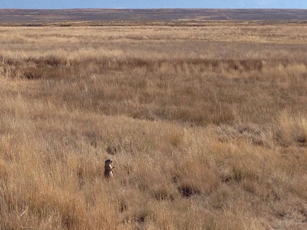 Arapaho National Wildlife Refuge景点图片