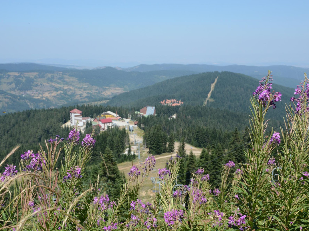 Ilgaz Mountain National Park景点图片
