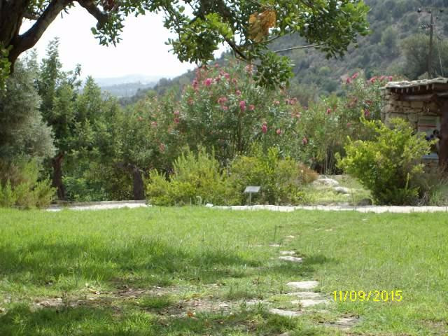 Pano Akourdaelia Herb Garden景点图片