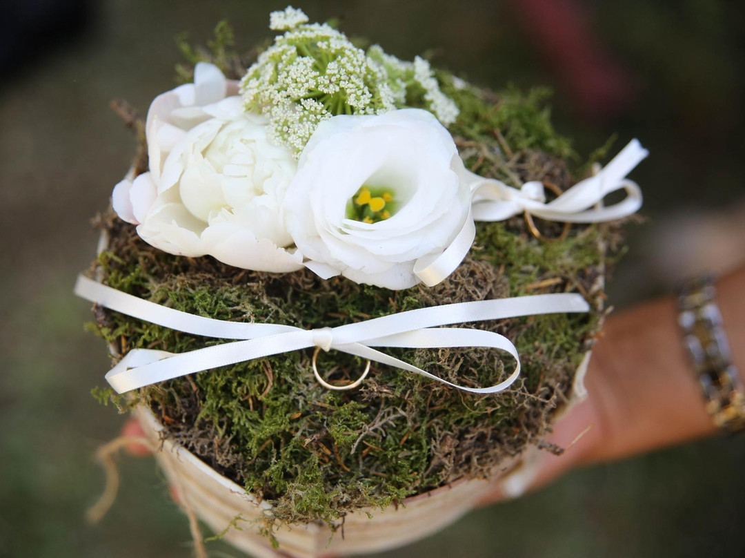 Kadò flowerdesign景点图片