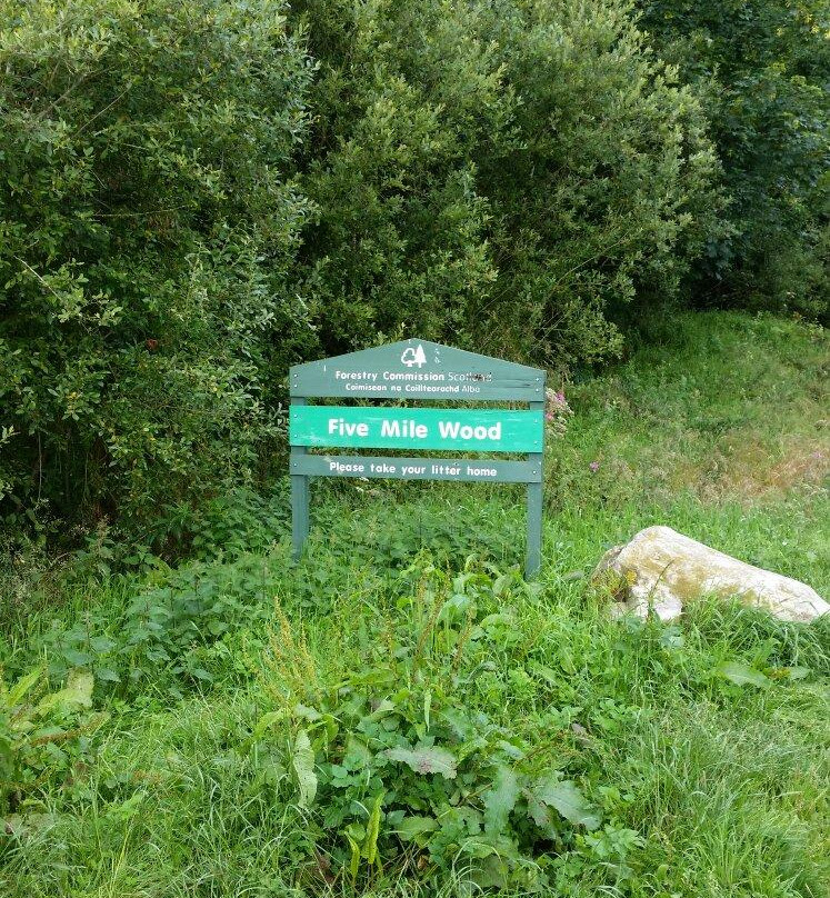 Five Mile Wood
