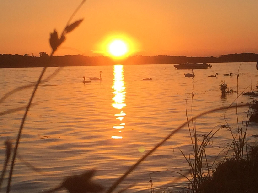 Roskilde Camping