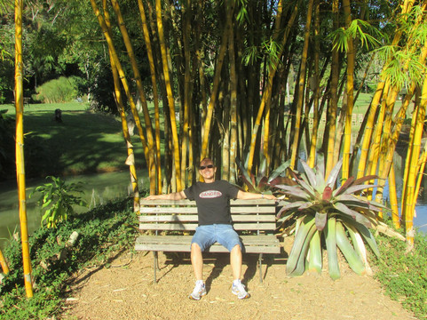 Rio das Flores旅游景点-Florart