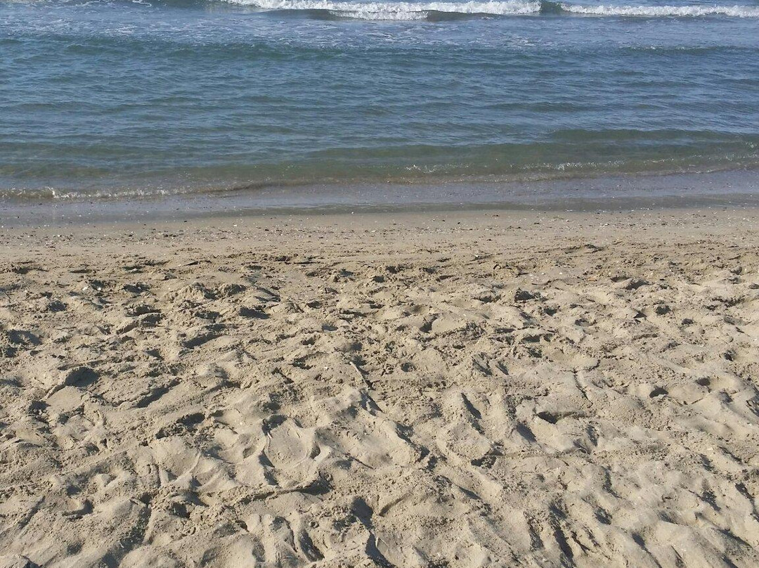Plage du Grand Travers景点图片