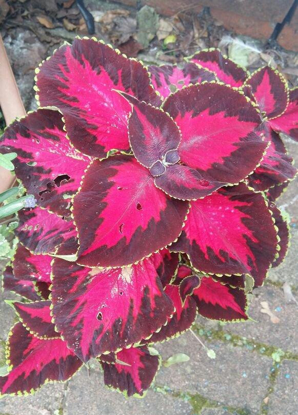 University of Agriculture-Faisalabad必去景点