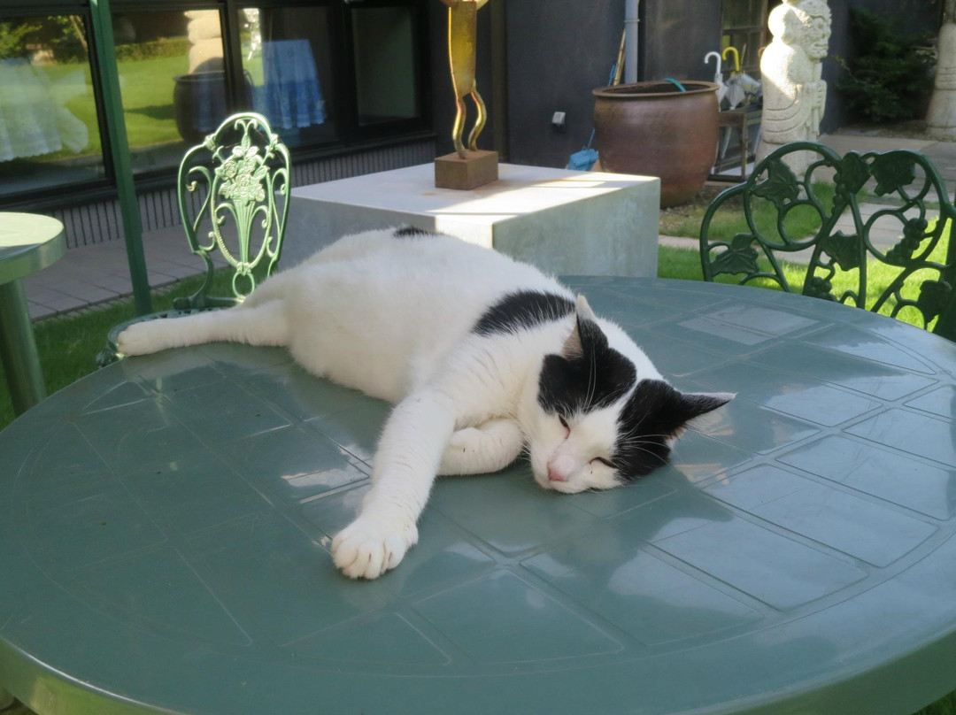 Matsuyma Garden Art Museum-匝瑳市必去景点