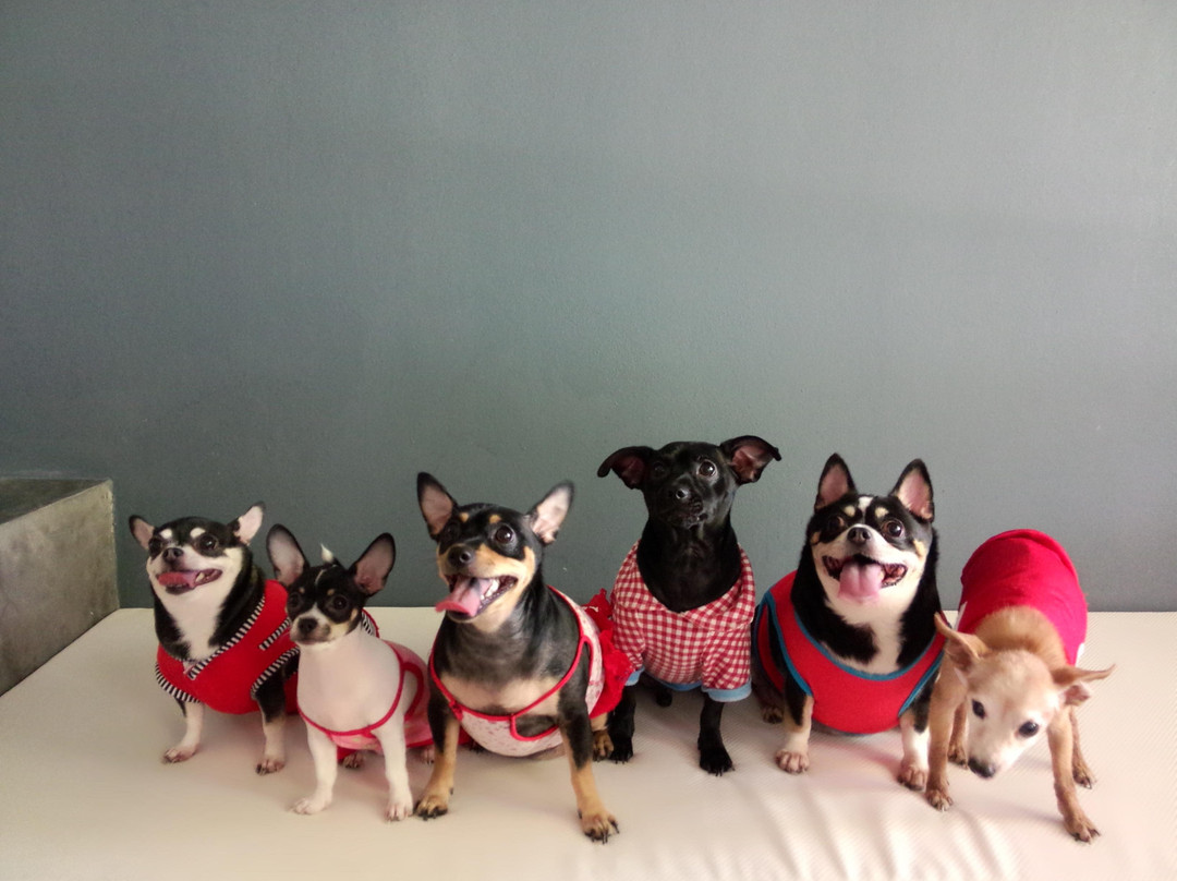 Chaosamran Beach Resort主图