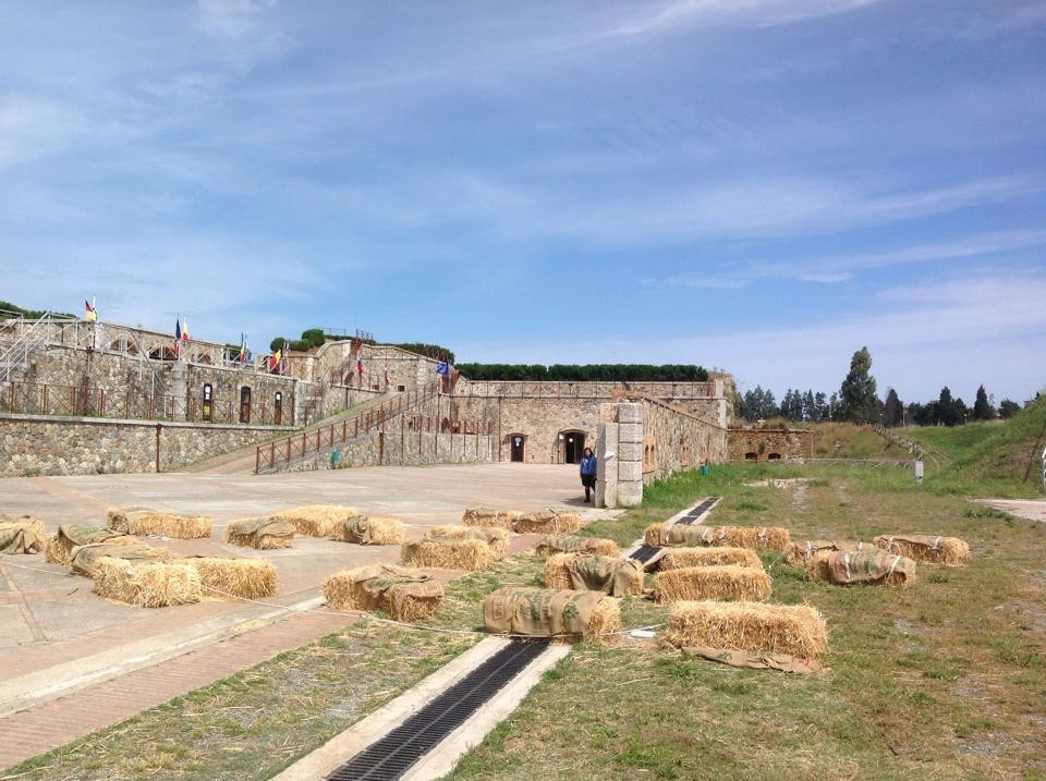 Parco Ecolandia景点图片