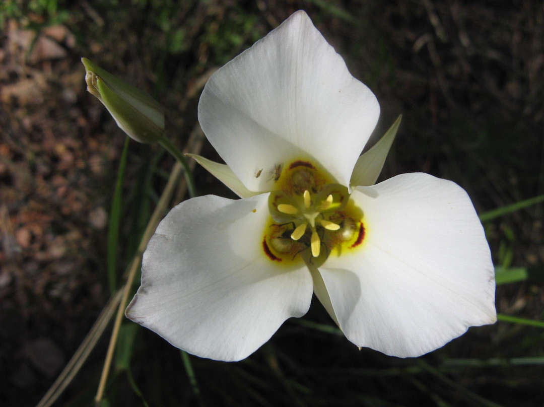 Elk Mountain Nature Trail-Wind Cave National Park必去景点