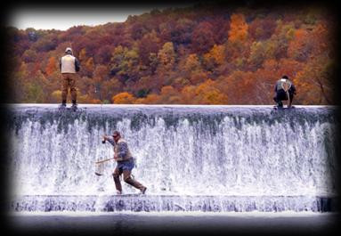 Sand Spring Resort主图