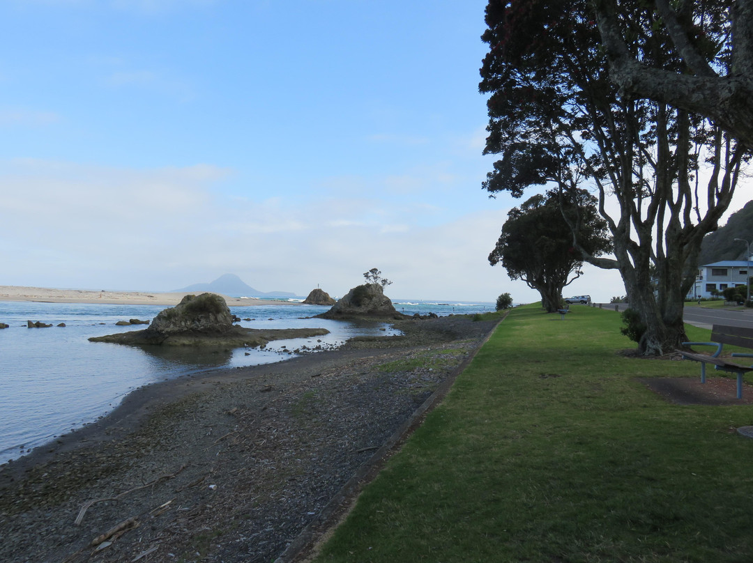 Whakatane River Walk景点图片