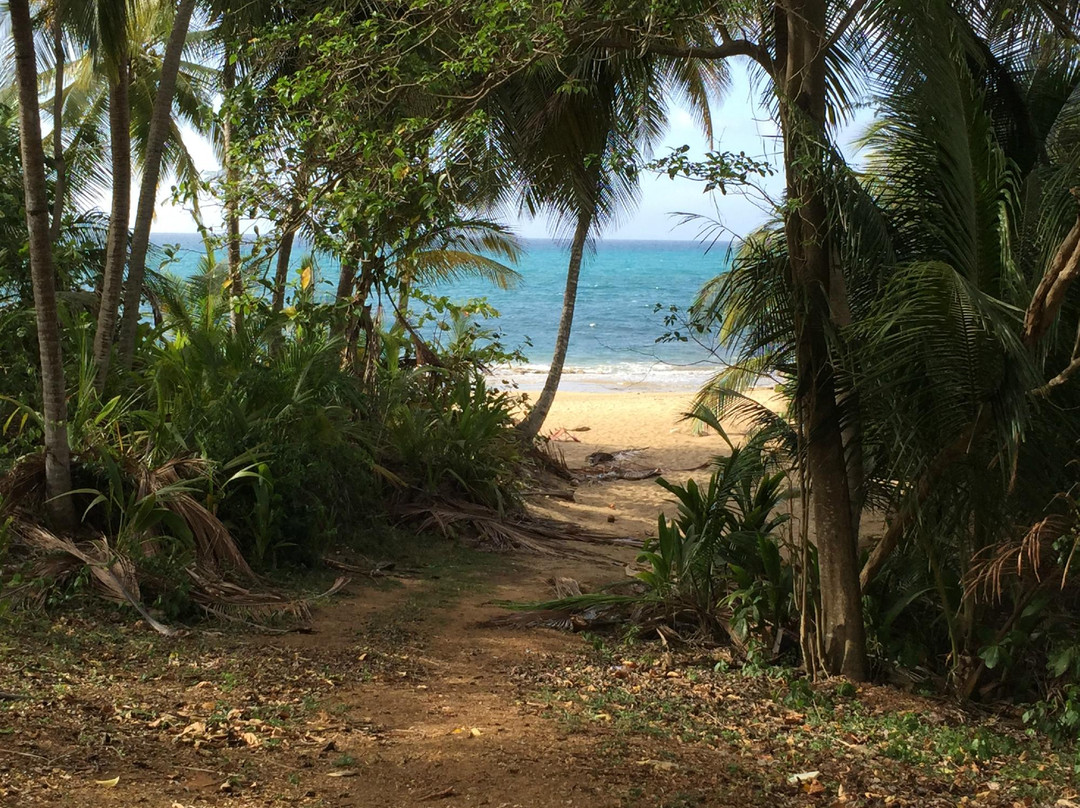 Playa Monte Santo-维切克岛必去景点