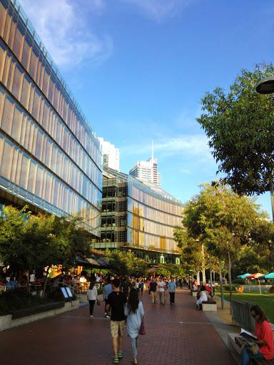 情人港-悉尼必去景点