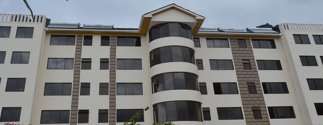 Elsa Hotel Meru主图