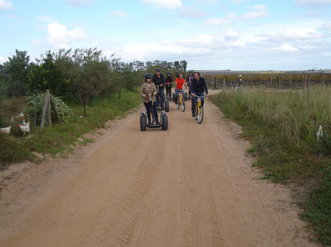 Segway Vineyard Tours-斯泰伦博斯必去景点