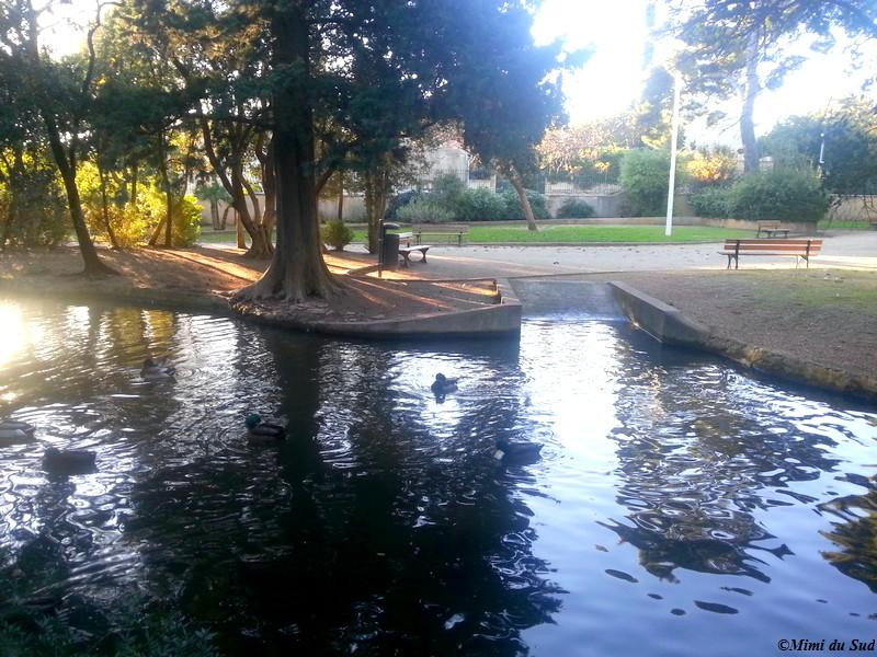 Parc des Oiseaux景点图片