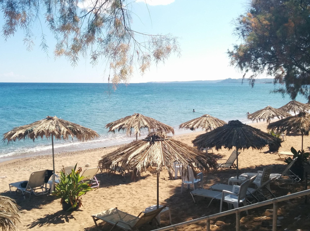 Caribbean Beach bar景点图片