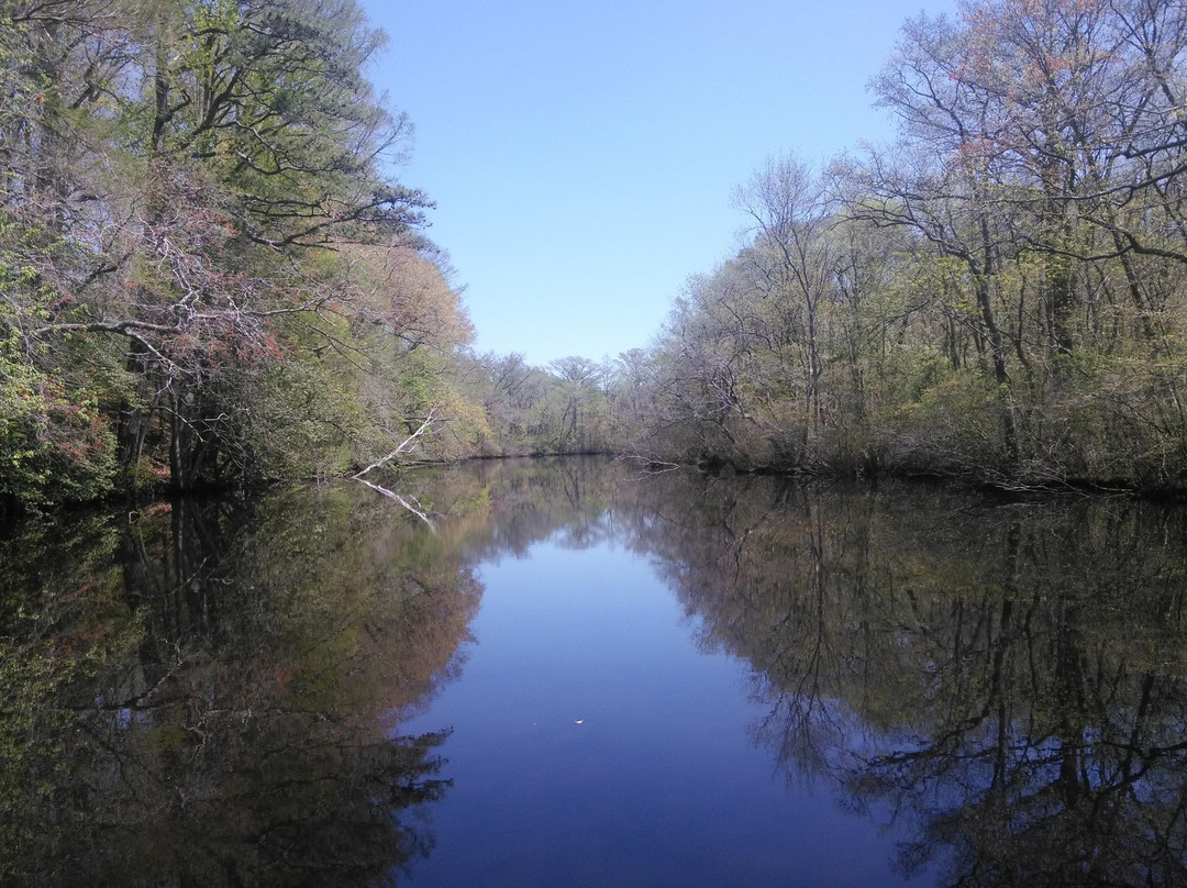Pocomoke River Cruises-Snow Hill必去景点