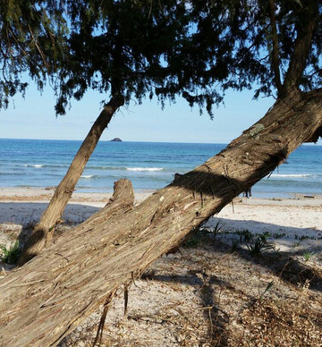 Plage De Pinarello-Sainte Lucie De Porto Vecchio必去景点
