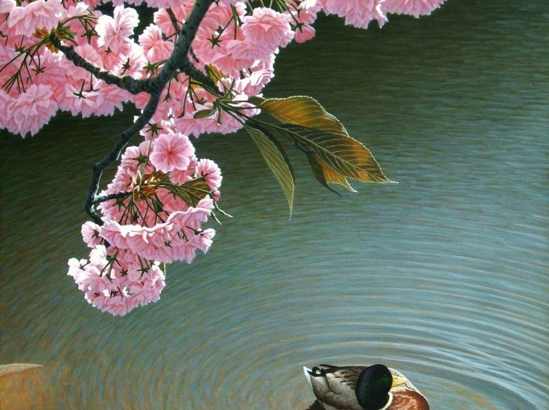 Peninsula Gallery景点图片