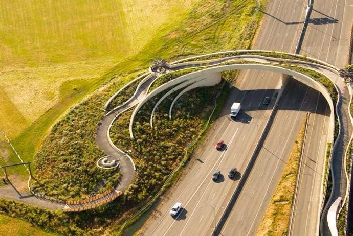Vancouver Land Bridge景点图片