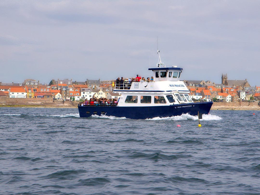 Anstruther Pleasure Cruises-Boat Day Tours-Anstruther必去景点