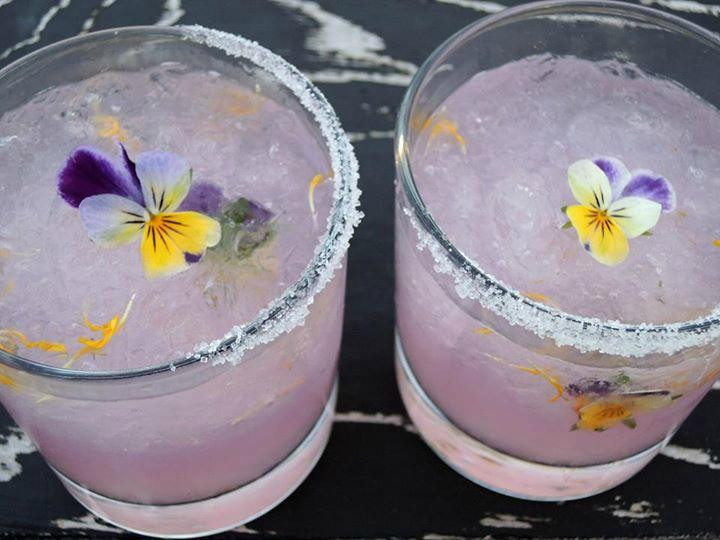 Lonkot Rural Resort主图