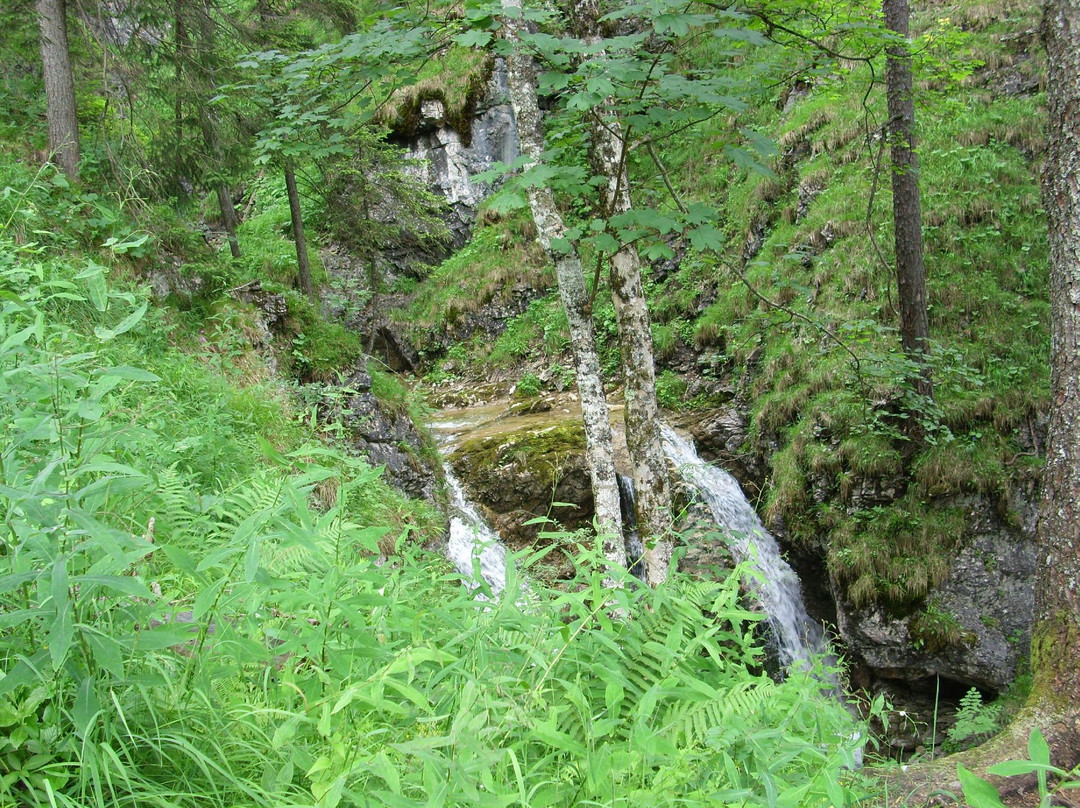 Zipfelsbach Wasserfall景点图片