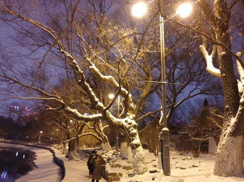 南湖公园-沈阳市必去景点