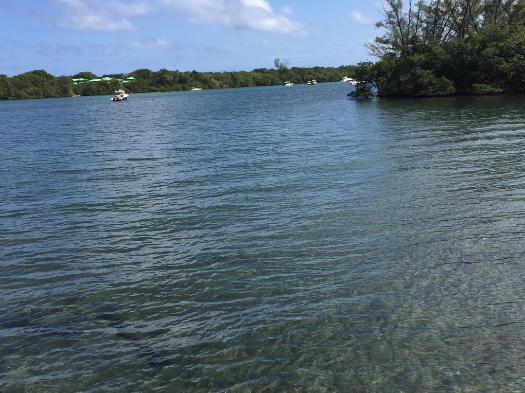 James A. Rutherford Park-博卡拉顿必去景点