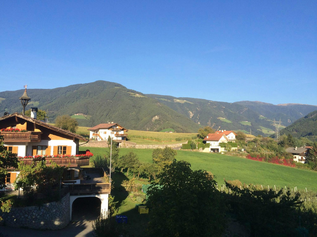 Naz-Sciaves酒店住宿-Residence Schiestlhof