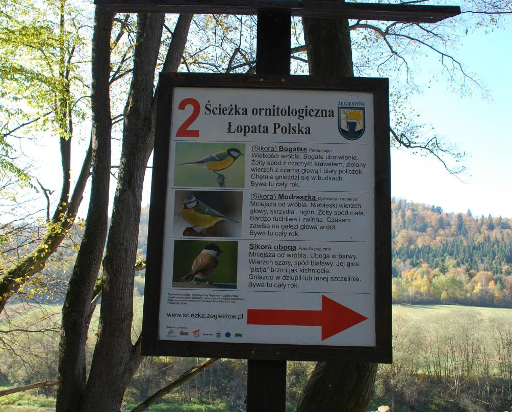Ścieżka Ornitologiczna景点图片