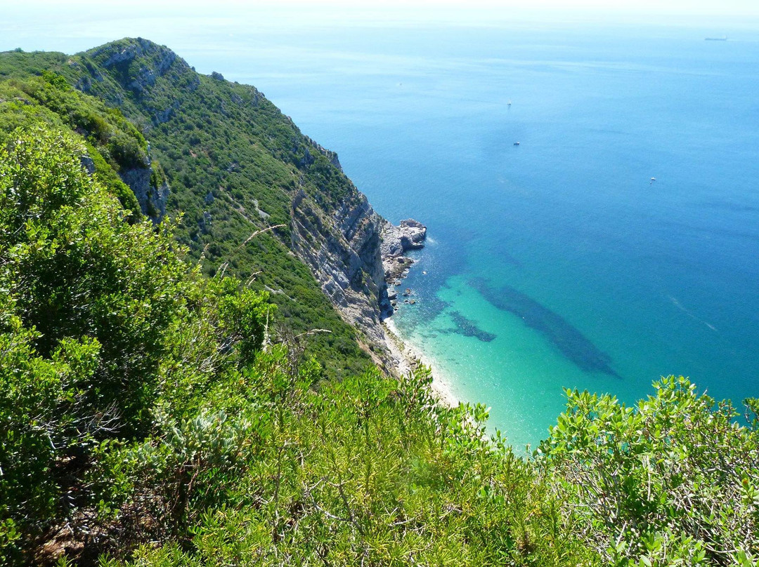 Arrabida Dreams景点图片