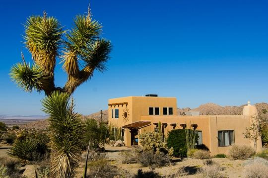 约书亚树酒店住宿-Desert Lily